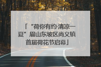 “荷你有约·清凉一夏”眉山东坡区尚义镇首届荷花节启幕
