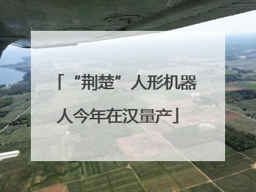 “荆楚”人形机器人今年在汉量产
