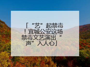 “艺”起禁毒！宜城公安这场禁毒文艺演出“声”入人心