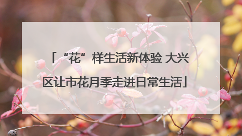 “花”样生活新体验 大兴区让市花月季走进日常生活