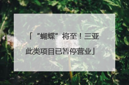“蝴蝶”将至！三亚此类项目已暂停营业