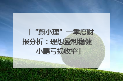 “蔚小理”一季度财报分析：理想盈利稳健 小鹏亏损收窄