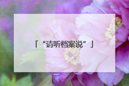 “请听档案说”