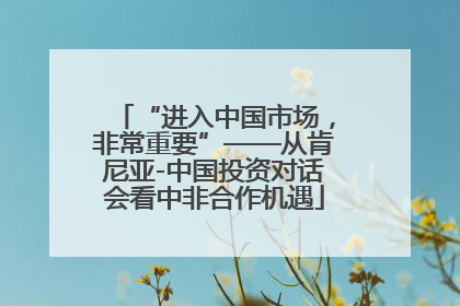 “进入中国市场，非常重要”——从肯尼亚-中国投资对话会看中非合作机遇