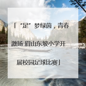 “足”梦绿茵，青春激扬 眉山东坡小学开展校园足球比赛