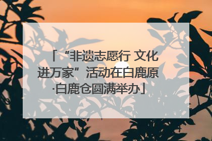“非遗志愿行 文化进万家”活动在白鹿原·白鹿仓圆满举办