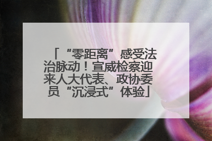 “零距离”感受法治脉动！宣威检察迎来人大代表、政协委员“沉浸式”体验