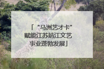 “马洲艺才卡”赋能江苏靖江文艺事业蓬勃发展