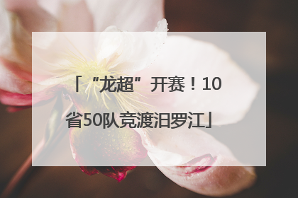 “龙超”开赛！10省50队竞渡汨罗江