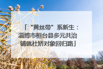 “黄丝带”系新生：淄博市桓台县多元共治铺就社矫对象回归路