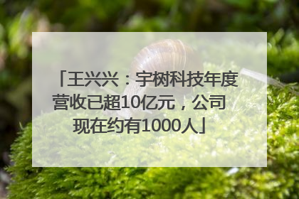 王兴兴：宇树科技年度营收已超10亿元，公司现在约有1000人