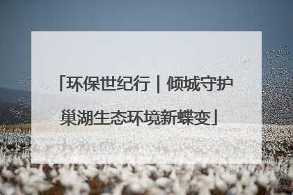 环保世纪行｜倾城守护 巢湖生态环境新蝶变