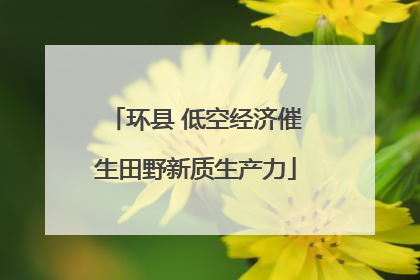 环县 低空经济催生田野新质生产力