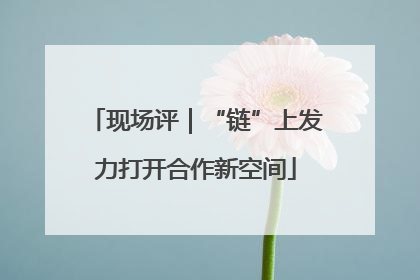 现场评｜“链”上发力打开合作新空间