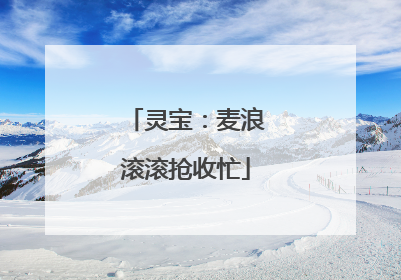 灵宝：麦浪滚滚抢收忙