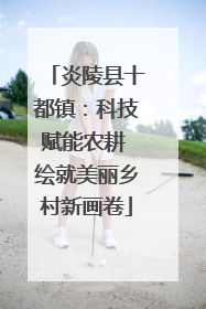 炎陵县十都镇：科技赋能农耕 绘就美丽乡村新画卷