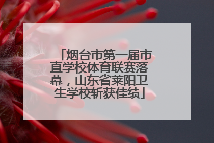 烟台市第一届市直学校体育联赛落幕，山东省莱阳卫生学校斩获佳绩