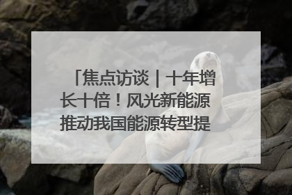 焦点访谈｜十年增长十倍！风光新能源推动我国能源转型提质焕“新”