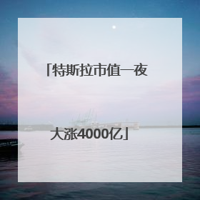 特斯拉市值一夜大涨4000亿