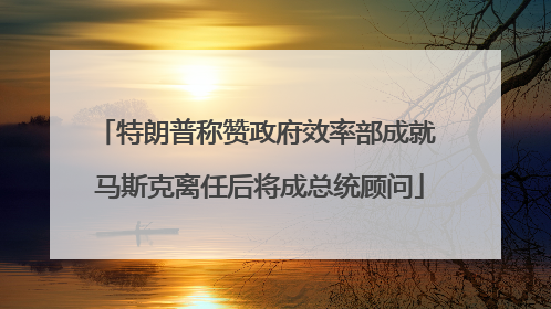 特朗普称赞政府效率部成就 马斯克离任后将成总统顾问