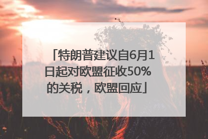 特朗普建议自6月1日起对欧盟征收50%的关税，欧盟回应