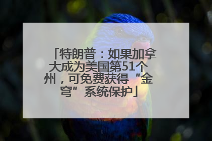 特朗普：如果加拿大成为美国第51个州，可免费获得“金穹”系统保护