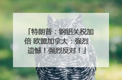 特朗普：钢铝关税加倍 欧盟加拿大：强烈遗憾！强烈反对！