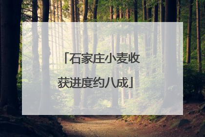 石家庄小麦收获进度约八成