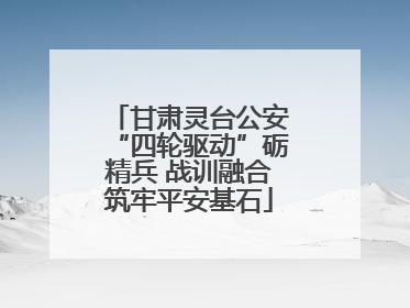 甘肃灵台公安“四轮驱动”砺精兵 战训融合筑牢平安基石