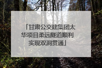 甘肃公交建集团太华项目柔远隧道顺利实现双洞贯通