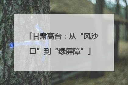 甘肃高台：从“风沙口”到“绿屏障”