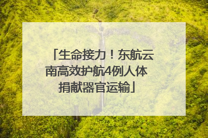 生命接力！东航云南高效护航4例人体捐献器官运输