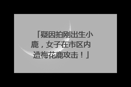 疑因拍刚出生小鹿，女子在市区内遭梅花鹿攻击！