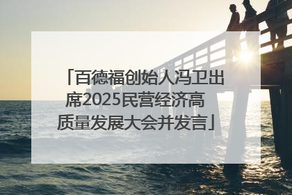 百德福创始人冯卫出席2025民营经济高质量发展大会并发言