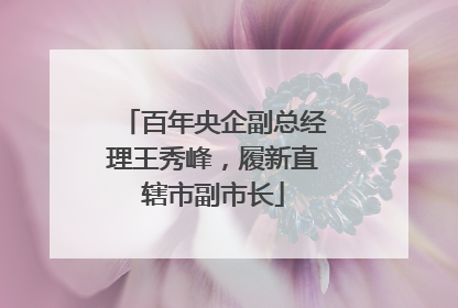 百年央企副总经理王秀峰，履新直辖市副市长