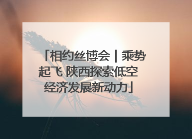 相约丝博会｜乘势起飞 陕西探索低空经济发展新动力