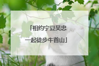 相约宁夏吴忠 一起徒步牛首山