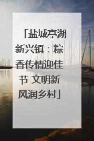 盐城亭湖新兴镇：粽香传情迎佳节 文明新风润乡村