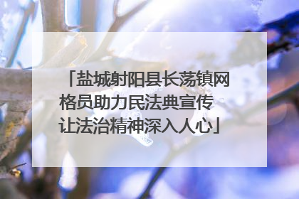 盐城射阳县长荡镇网格员助力民法典宣传 让法治精神深入人心