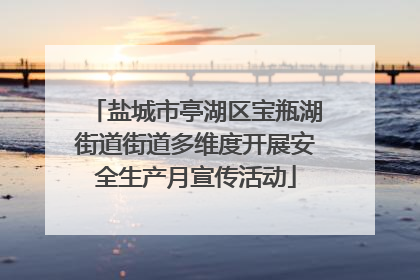 盐城市亭湖区宝瓶湖街道街道多维度开展安全生产月宣传活动
