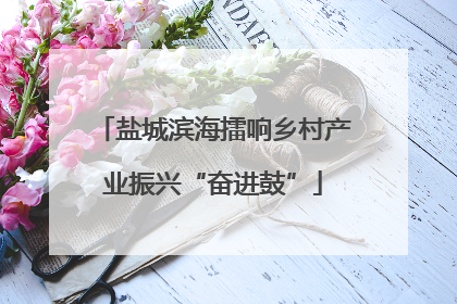 盐城滨海擂响乡村产业振兴“奋进鼓”