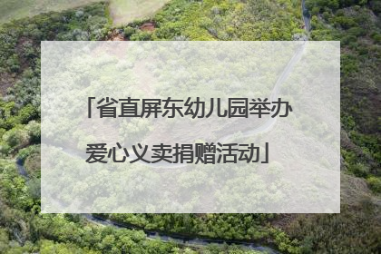 省直屏东幼儿园举办爱心义卖捐赠活动