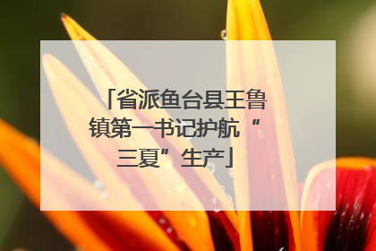 省派鱼台县王鲁镇第一书记护航“三夏”生产