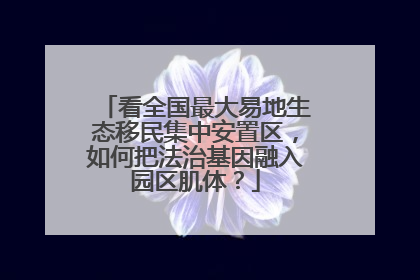 看全国最大易地生态移民集中安置区，如何把法治基因融入园区肌体？