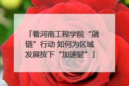 看河南工程学院“融链”行动 如何为区域发展按下“加速键”