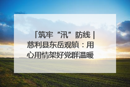 筑牢“汛”防线｜慈利县东岳观镇：用心用情架好党群温暖悠长的“连心桥”