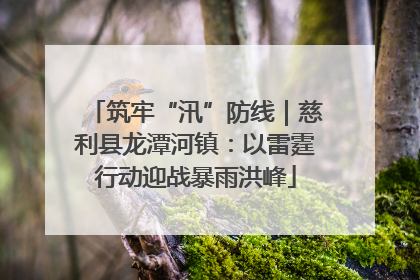 筑牢“汛”防线｜慈利县龙潭河镇：以雷霆行动迎战暴雨洪峰