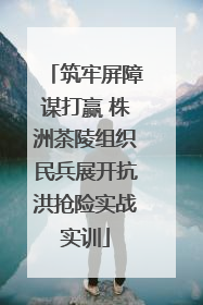 筑牢屏障谋打赢 株洲茶陵组织民兵展开抗洪抢险实战实训