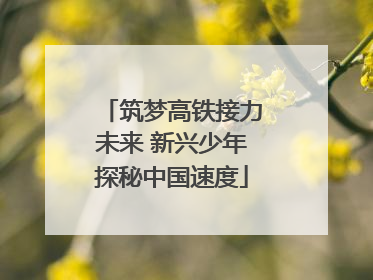 筑梦高铁接力未来 新兴少年探秘中国速度