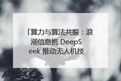 算力与算法共振：浪潮信息携 DeepSeek 推动无人机技术在舟山落地